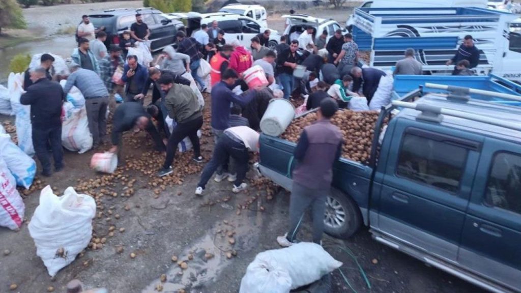 Araç bozulunca patatesleri yola boşalttı: Bedava olduğunu duyanlar bölgeye akın etti