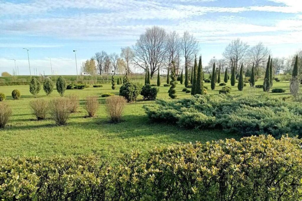 Оазис природы: дендропарку поселка Ракитное исполнилось 10 лет