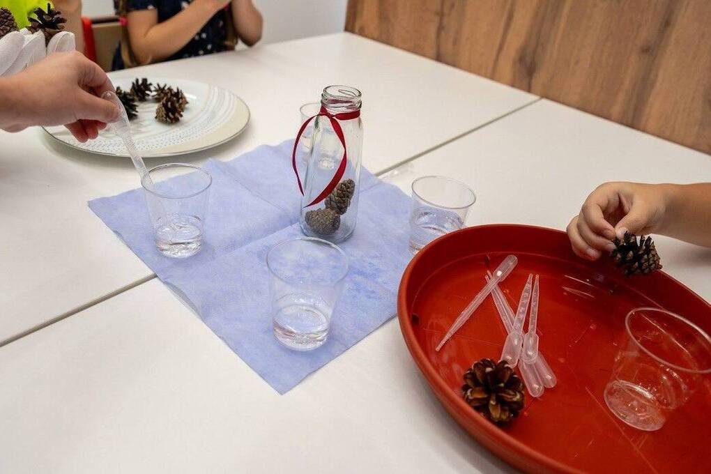 Дети из детского сада № 50 изучают природу в новом образовательном центре