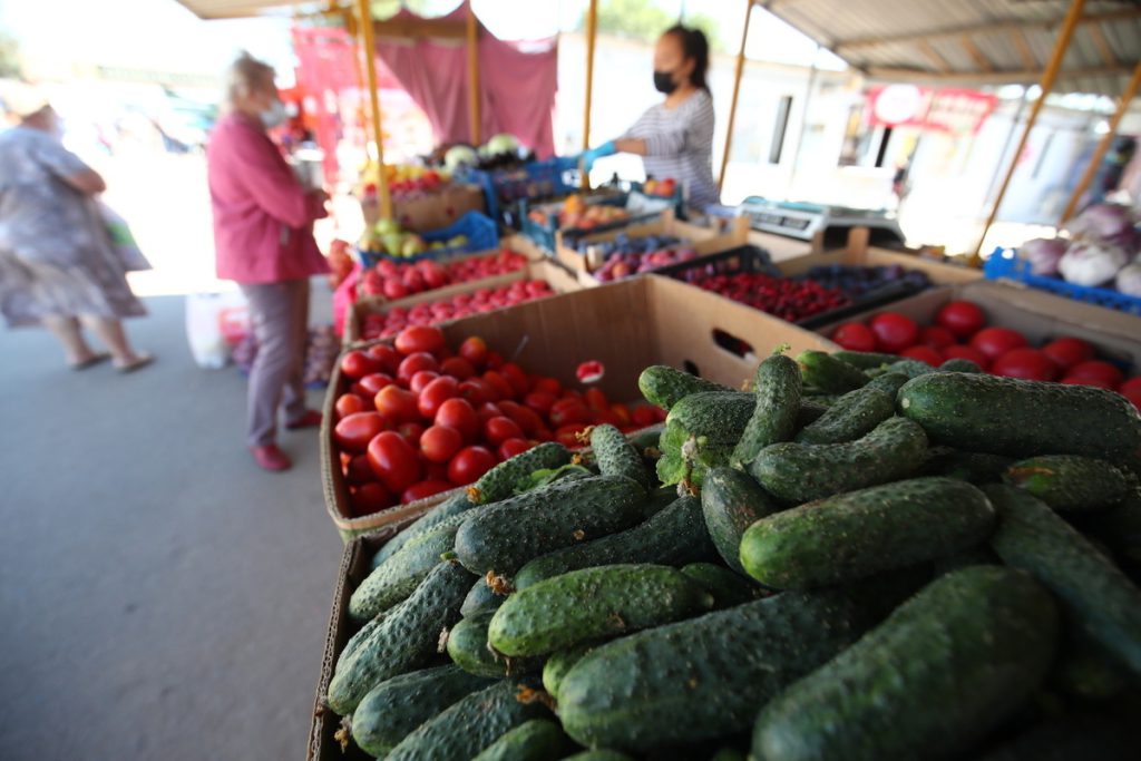 Эксперты подтвердили безопасность и качество волгоградских овощей и бахчевых
