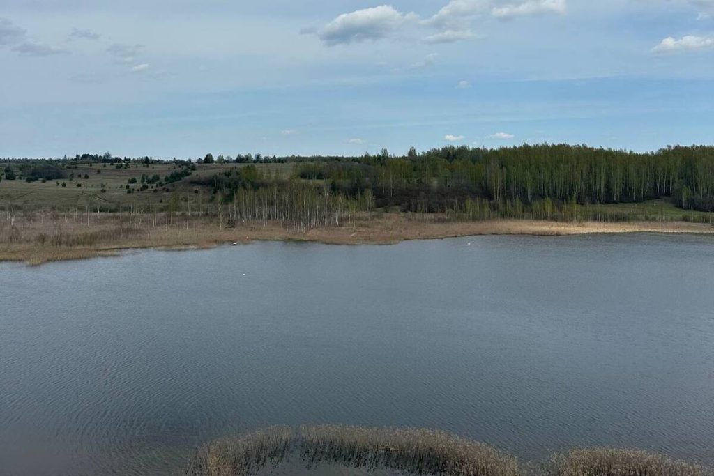 Arrestato a San Pietroburgo uomo sospettato di omicidio per gelosia