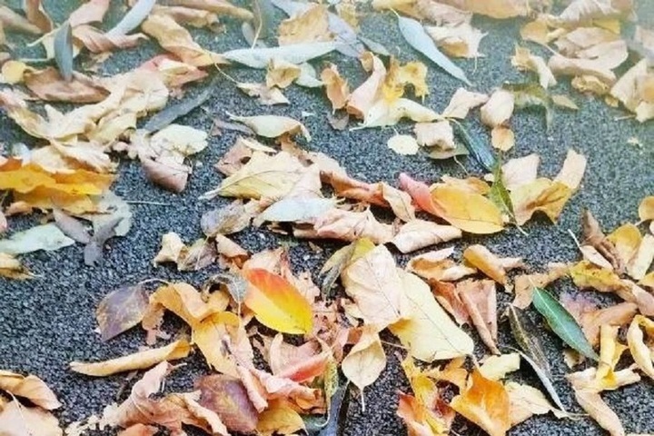 В Костромской области похолодает до +4°