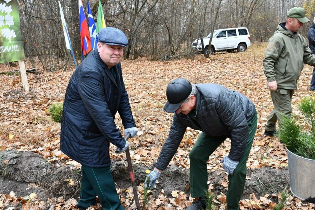 Il Distretto di Lopatinskij Unisce le Forze per Salvare la Foresta in una Campagna Nazionale di Rimboschimento