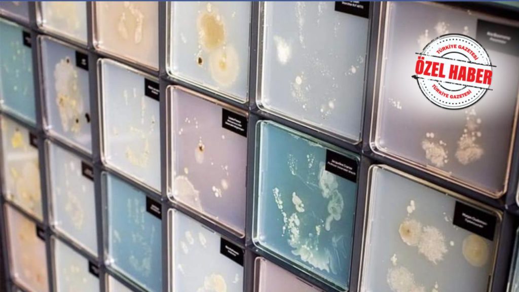 Bakteri müzesi! RSKK Patojen Bankasında bakteriler 71 yıldır saklanıyor