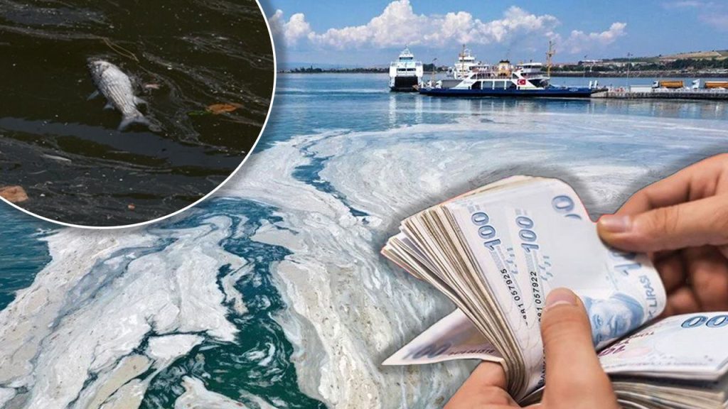 Balıkçılara müsilaj ödemesi: Tarım ve Orman Bakanlığından sevindiren karar yayınlandı