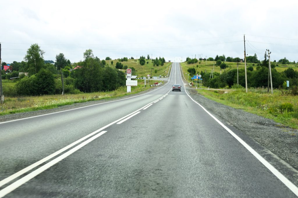 Из-за строительства трассы на Урале звери начали заходить в города