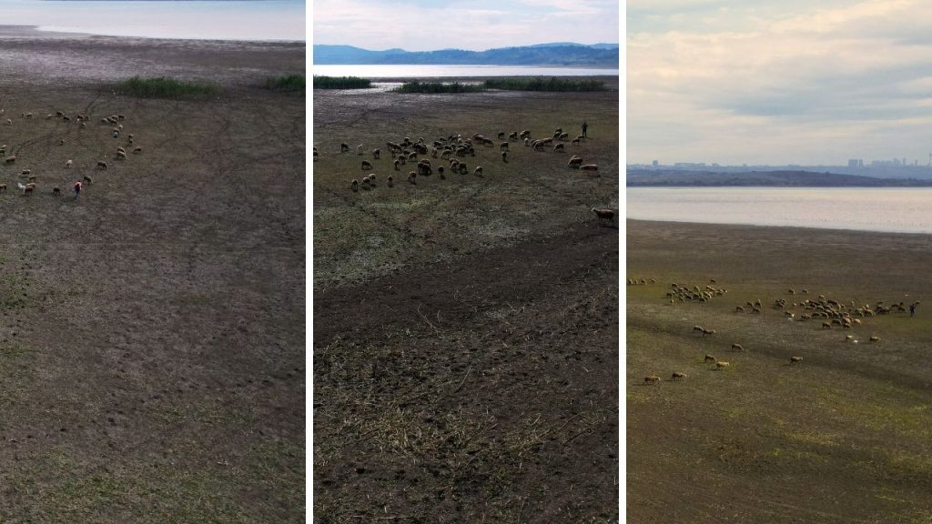 Büyükçekmece Gölü için çanlar çalıyor! Kuraklık başladı, su seviyesi diplerde