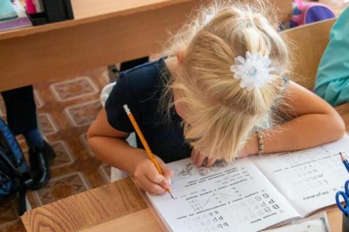 Istruzione familiare in Russia: 2000 bambini nella regione di Čeljabinsk scelgono un percorso educativo personalizzato