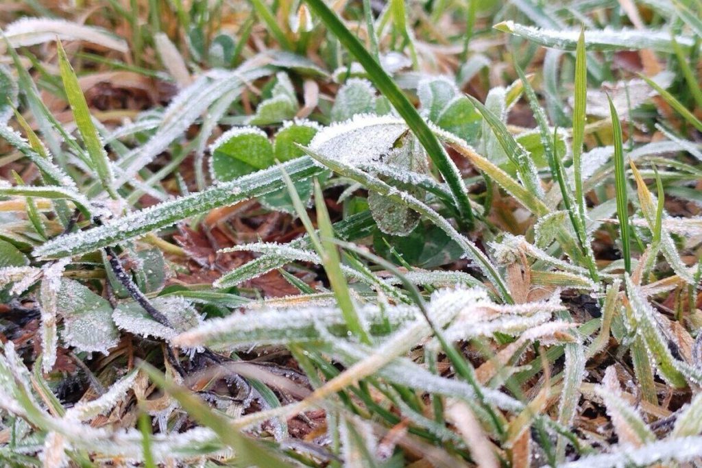 В Мурманской области 15 октября ожидаются заморозки и порывистый ветер