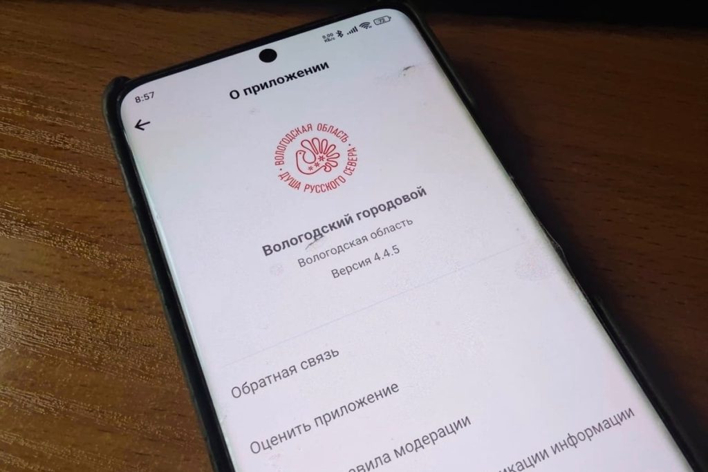 Приложение «Вологодский городовой» скачали более 2400 вологжан