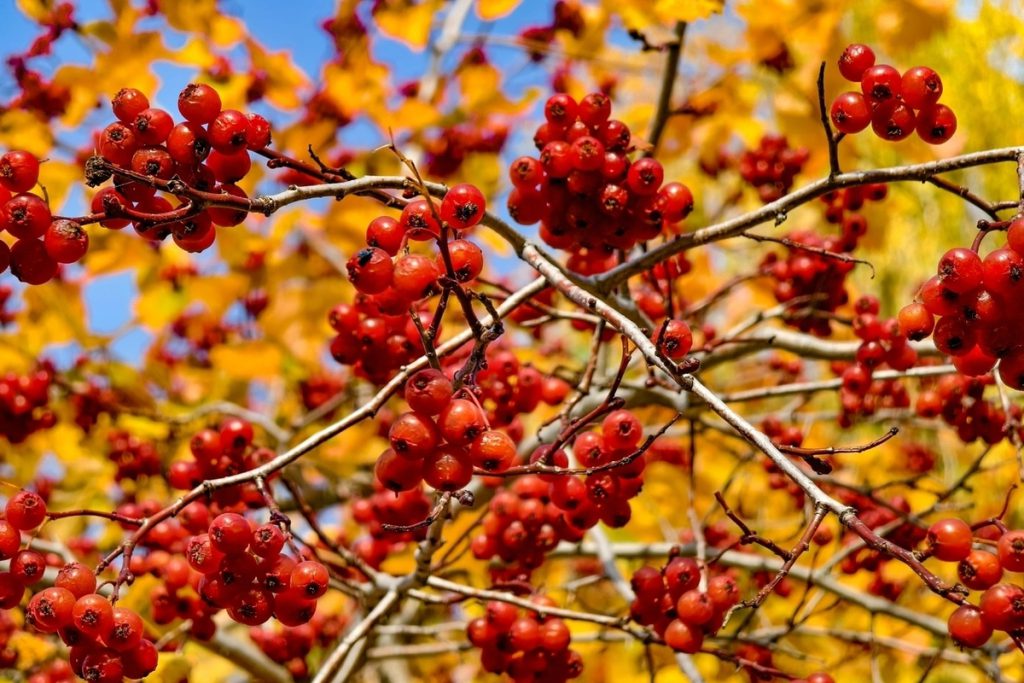 Переменная облачность и до -16°C: погода в Томской области на 17 октября