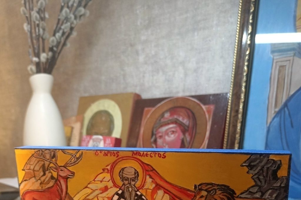 Ивановский зоопарк ждет необычный подарок