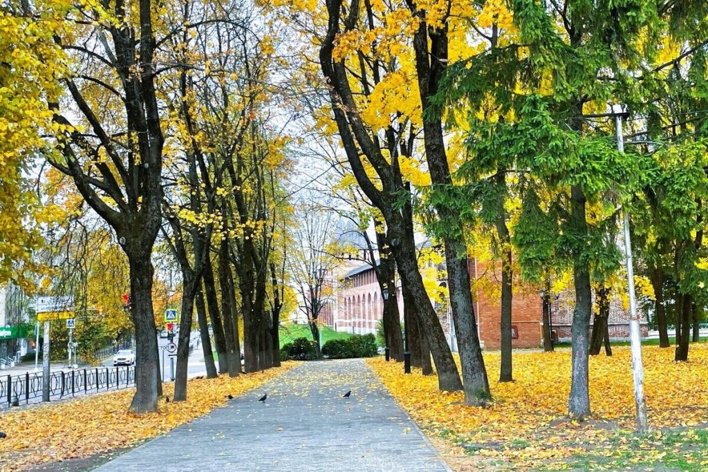 Previsioni meteo per Smolensk il 23 ottobre 2025: temperature fresche e condizioni variabili