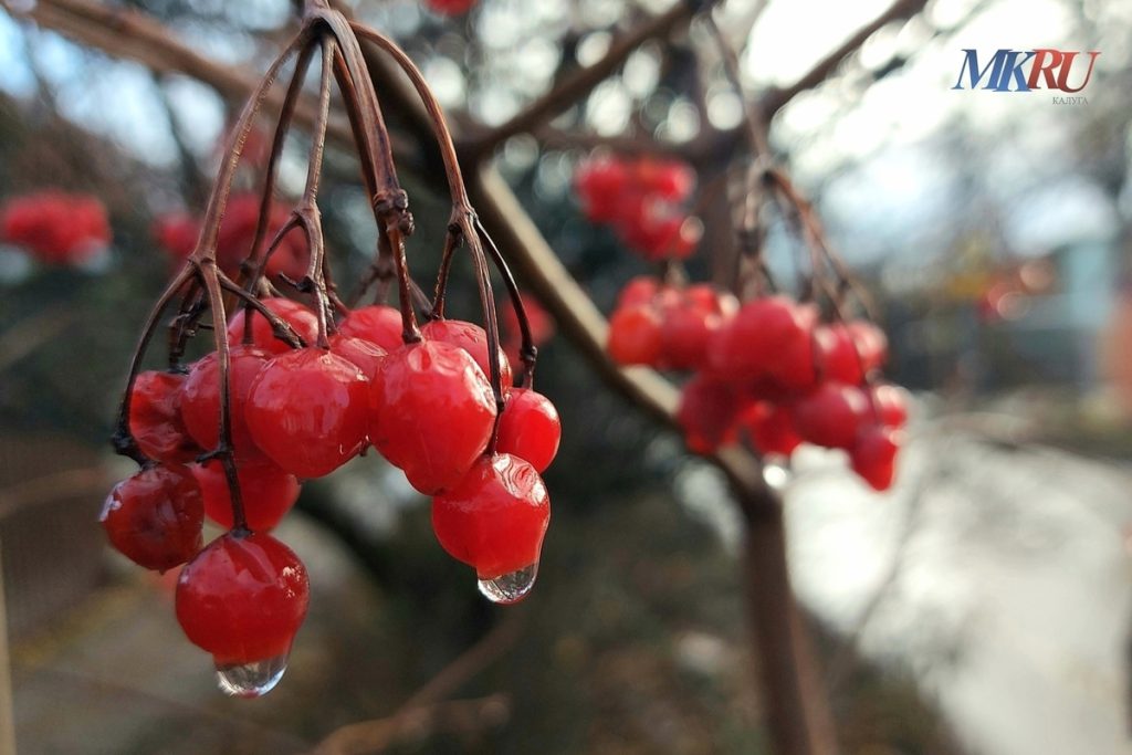 Калужан ждёт хмурое воскресенье