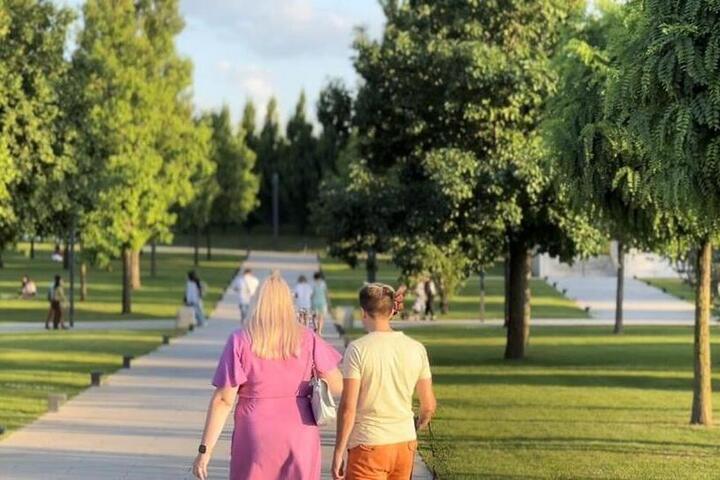 В Краснодаре 16 и 17 октября пройдет плановая обработка хвойных деревьев