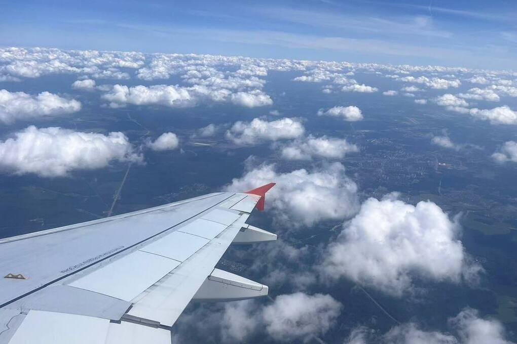 В аэропорту Минвод пассажир попытался нанести себе травмы при посадке рейса