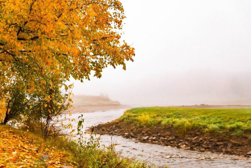 Погода в Карелии 21 октября будет ясной