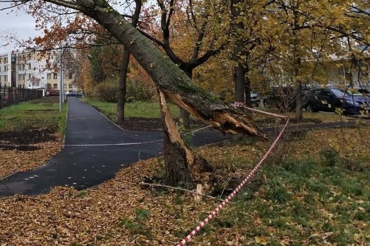 Калининградцев предупредили о сильном ветре 27 октября