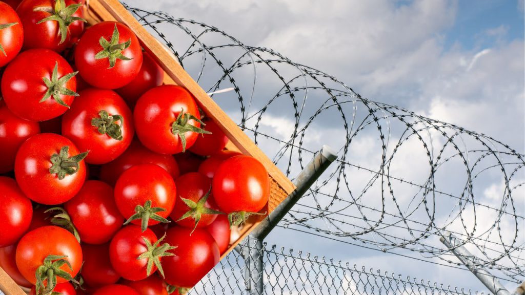 Scandalo in carcere femminile inglese: detenuta accompagnata fuori per acquistare pomodori, indagine in corso