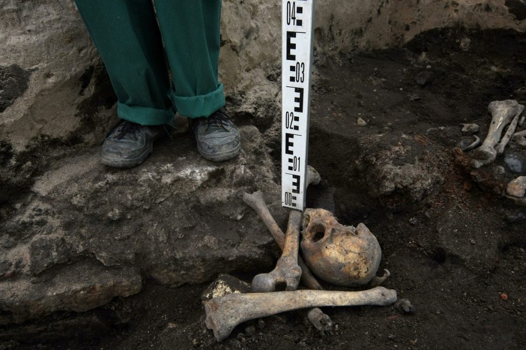 Находка в казахстанской степи: 7000-летнее захоронение ставит под сомнение библейскую хронологию