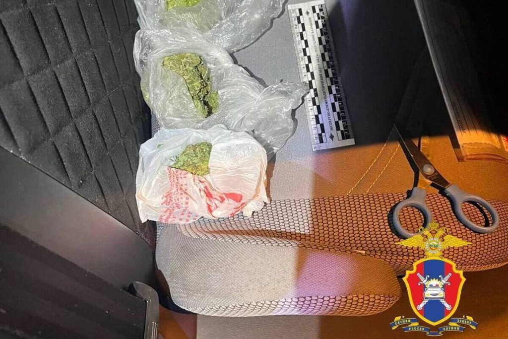 Полицейские обнаружили наркотические вещества в автомобиле жителя Яшкульского района