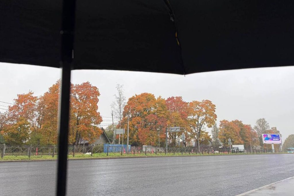 Дожди и ветер накрыли Калининград