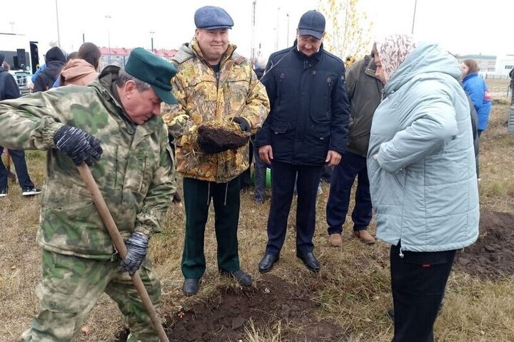 Piantagione di alberi a Shemysheysky: un passo avanti per la tutela dell&#039;ambiente nella regione di Penza