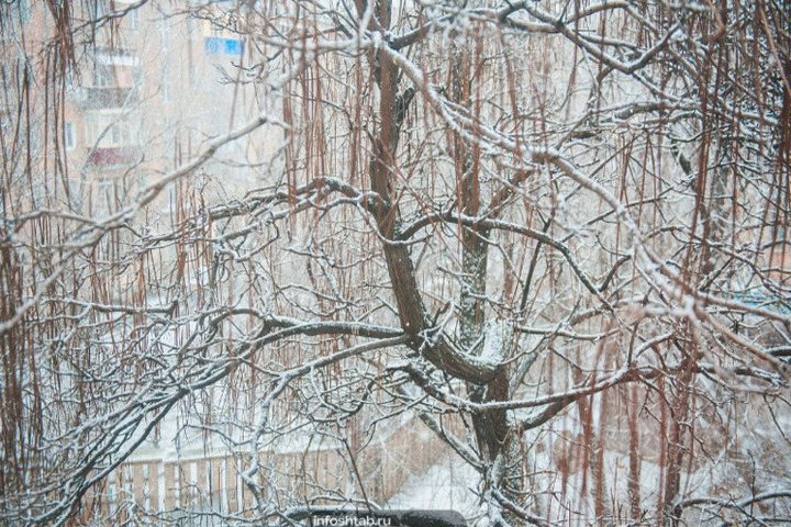 Il 23 ottobre: tradizioni e credenze del giorno di Evlampij Zimojukazatel, cosa non fare per evitare la sfortuna