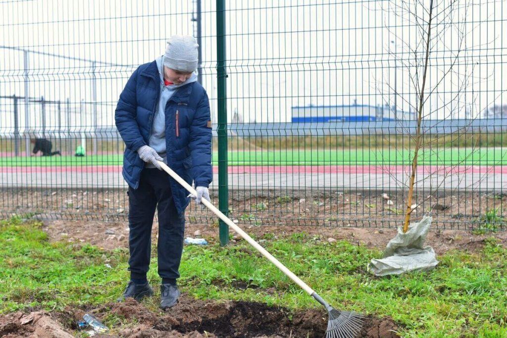 Piantumazione di nuovi alberi a Velikij Novgorod: un passo verso un ambiente urbano più sostenibile