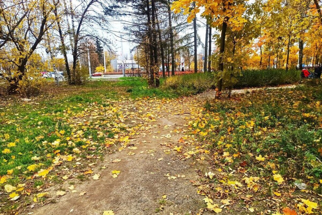 Prima Neve nella Regione di Vladimir: Previsioni e Impatti sulla Vita Quotidiana