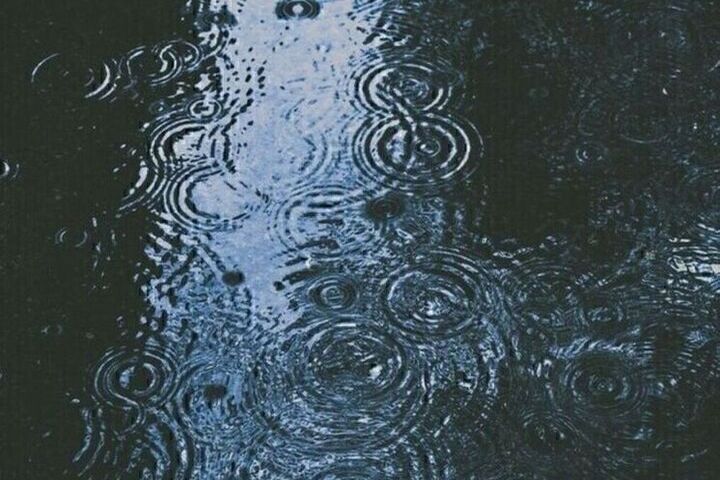 Курянам пообещали дожди и туман 20 октября