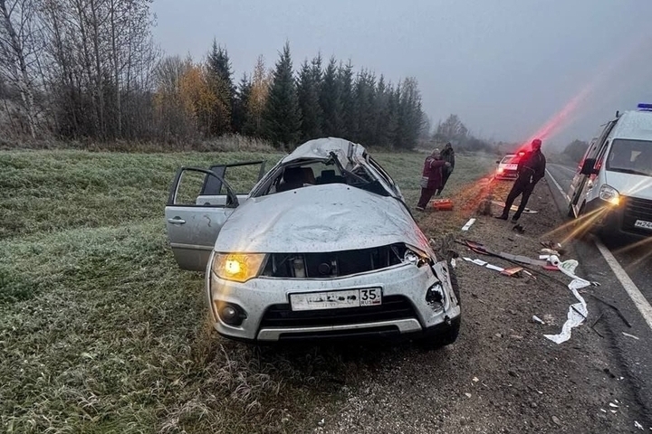 В Вологодской области погиб водитель вылетевшего в кювет автомобиля