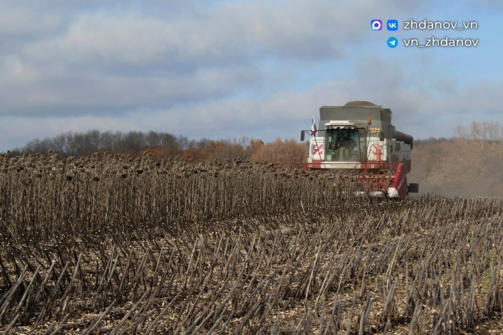 Старооскольские аграрии собрали урожай свеклы