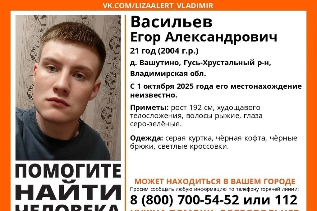 Giovane scomparso nella regione di Vladimir: la comunità si mobilita per il suo ritrovamento