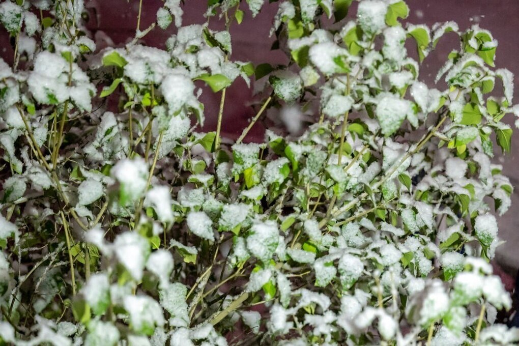 Дождь и мокрый снег ожидают южноуральцев в пятницу