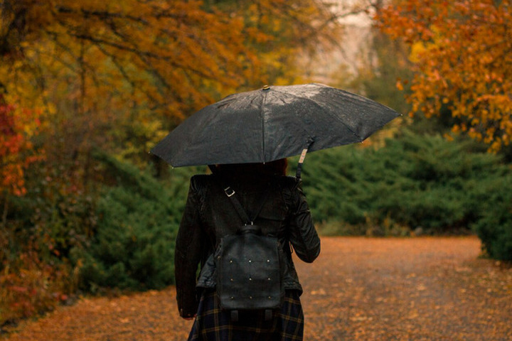 17 октября в Брянской области пройдут дожди