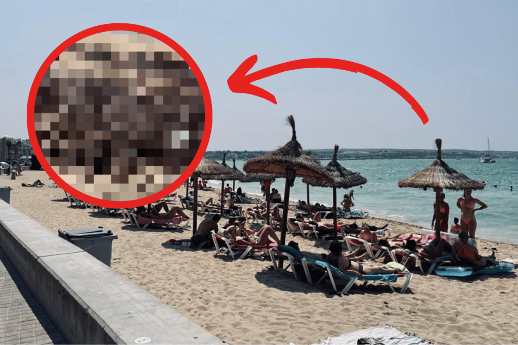 Mallorca-Urlauber erwartet ein unschöner Anblick – direkt an der Playa de Palma!