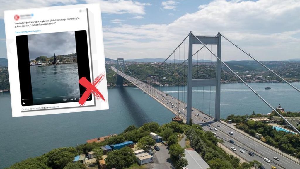 DMM&#039;den net açıklama! Boğaz&#039;da &#039;balık soykırımı&#039; iddiası dezenformasyon çıktı