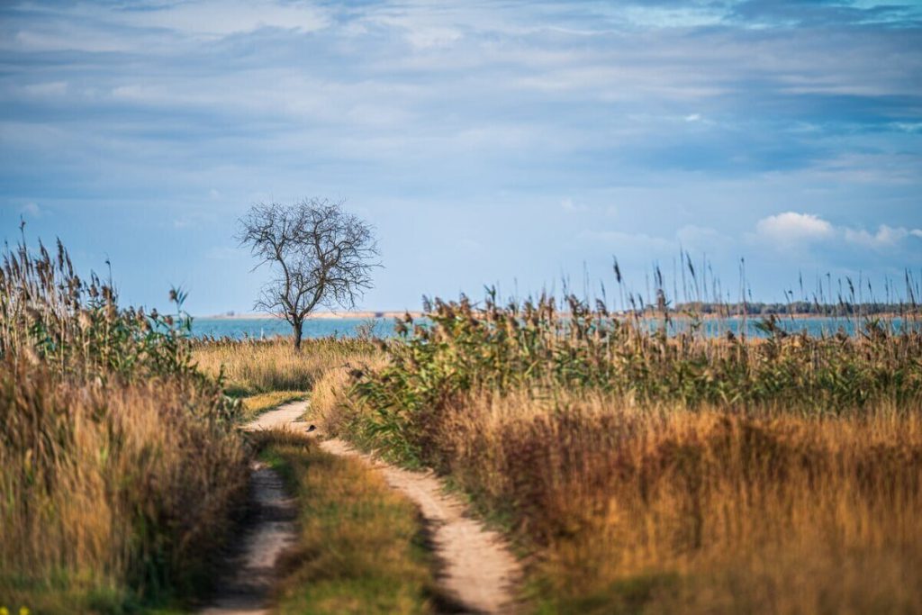 Previsioni Meteo per il 20 Ottobre nella Regione di Cherson: Temperature Mitissime Attese