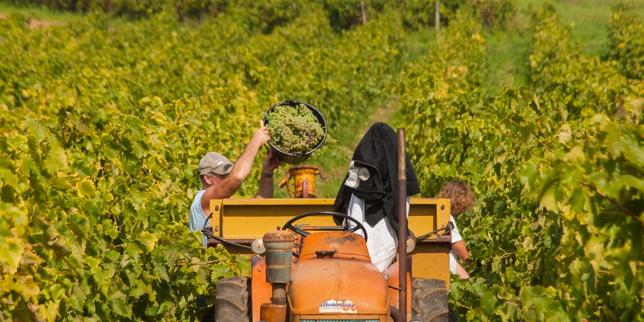 La Spirits Valley, une source nouvelle pour le « made in Charente »
