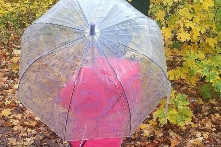 Forti Piogge nella Regione di Vladimir: Impatti e Sfide per la Popolazione Locale