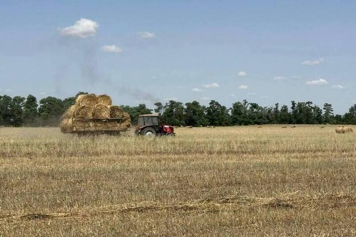 Аграрии Ставрополья завершили заготовку кормов для зимовки скота