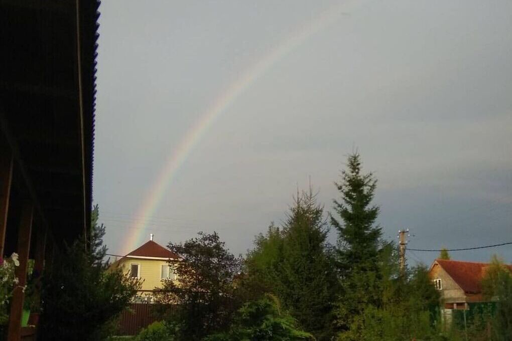 В Ленобласти вырос спрос на долгосрочную аренду загородного жилья на 8%