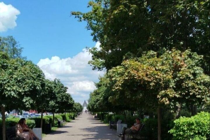 Стал известен размер прожиточного минимума воронежцев в 2026 году