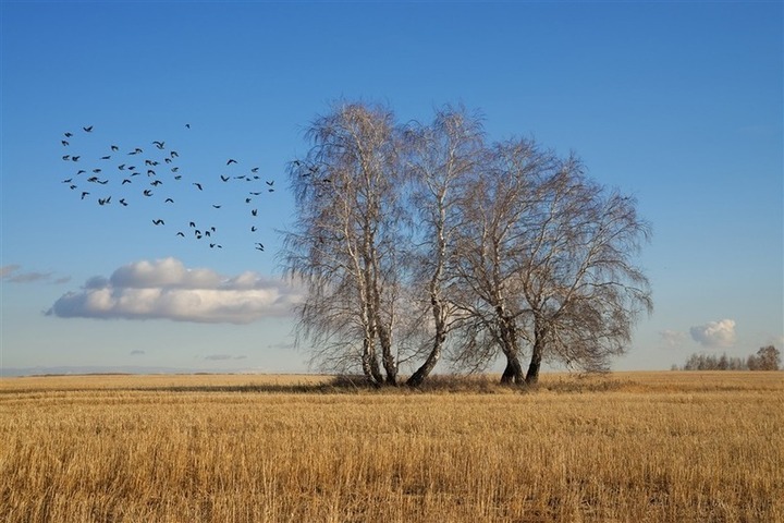 Завтра приметы расскажут о погоде в Калмыкии осенью