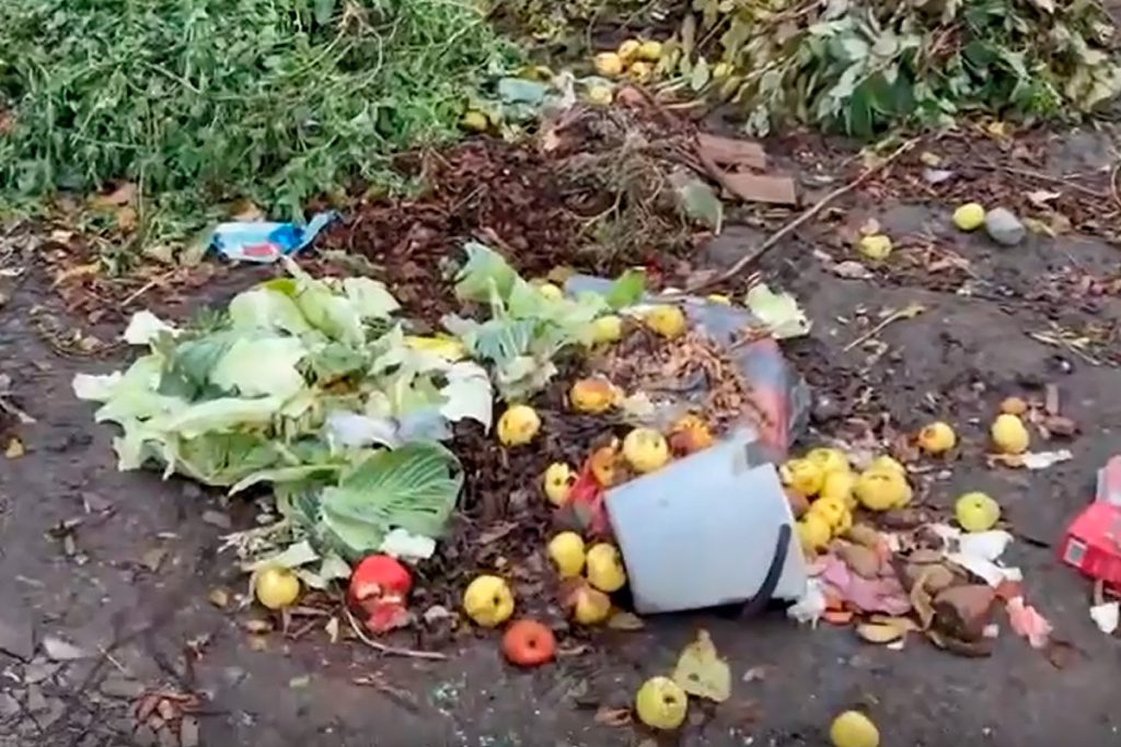 Emergenza Ecologica a Lipetsk: Discarica Abusiva Mette a Rischio la Salute dei Residenti