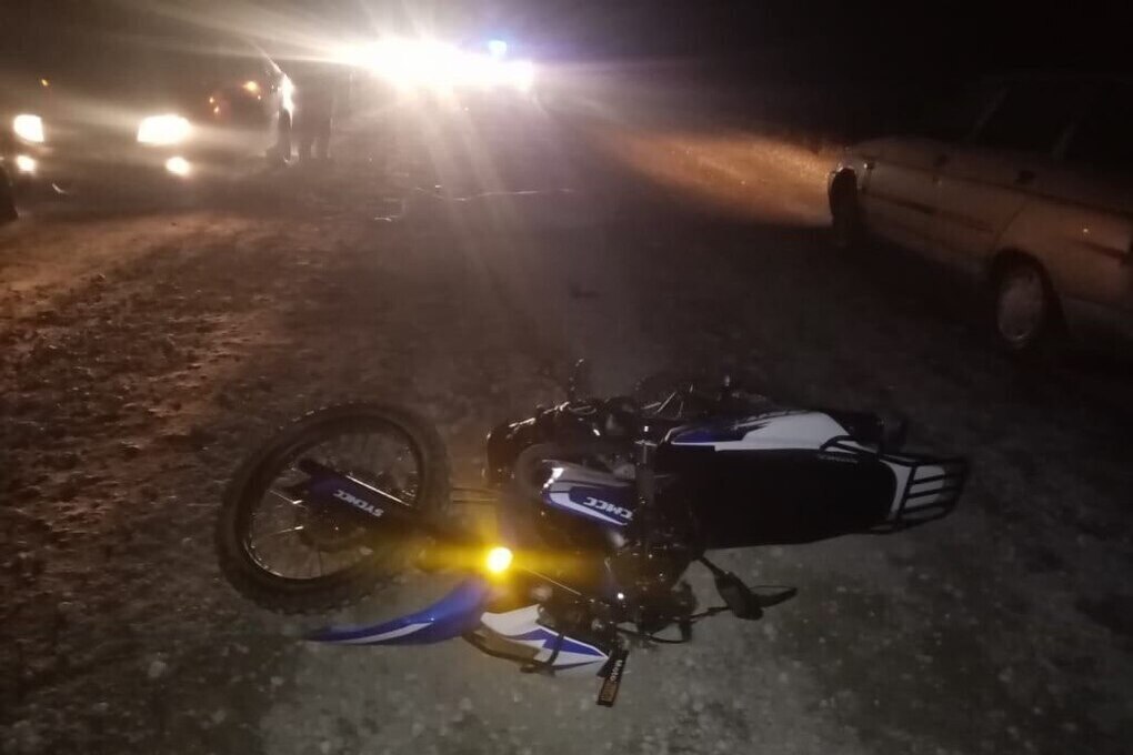 Водитель гужевой повозки скрылся с места смертельного ДТП в Убинском районе