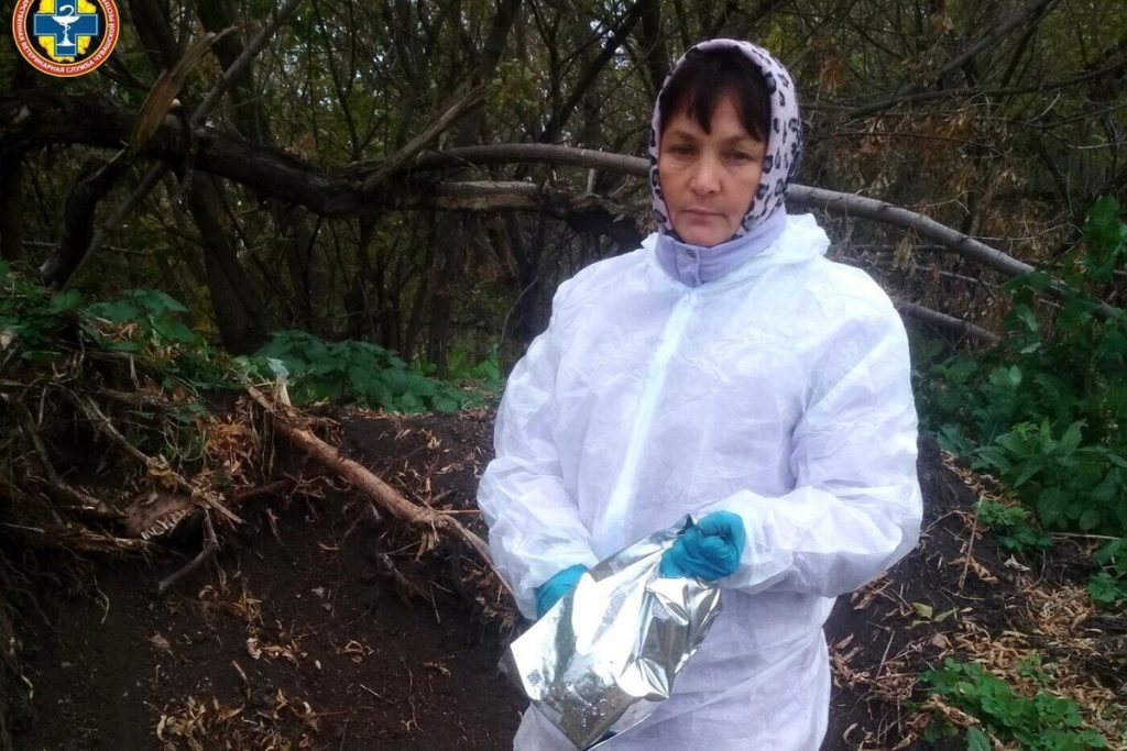 В Чувашии раскладывают вакцину от бешенства для диких животных