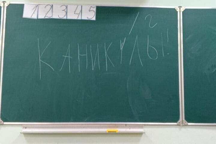 Ленинградским школьникам предложили провести осенние каникулы со смыслом