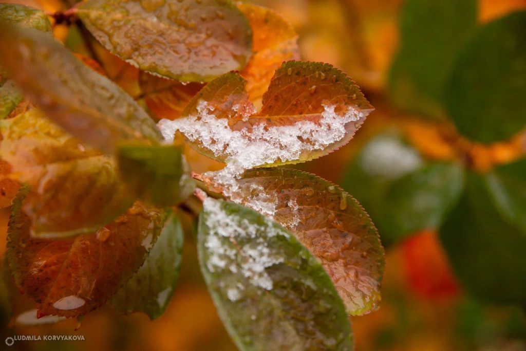 La Carelia si avvia verso l&#039;inverno: cosa significa e quali saranno le conseguenze